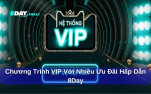 Tổng hợp các chương trình VIP với nhiều ưu đãi hấp dẫn 8day
