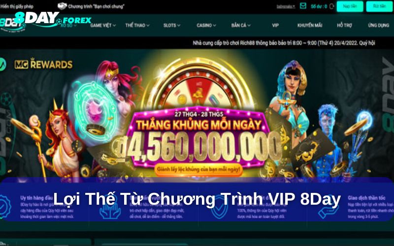 Lợi ích khi tham gia chương trình VIP 8day